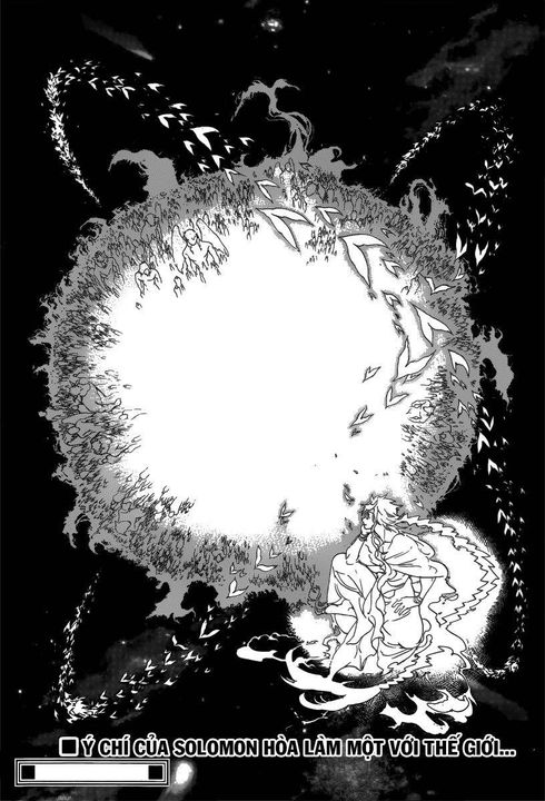 Vua Solomon và khởi đầu của Rukh trắng