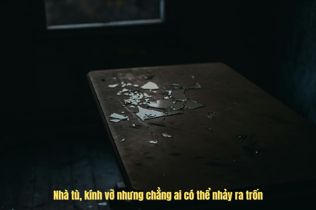 (Nguồn ảnh Pexels, Janko Ferlic)