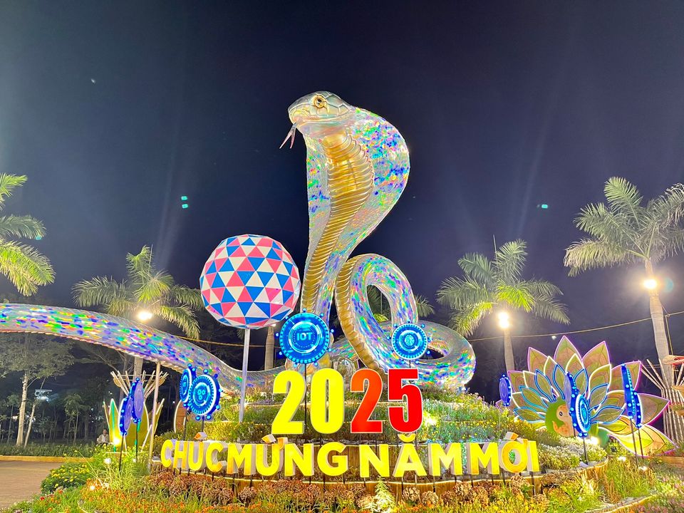 Lóa hết cả mắt