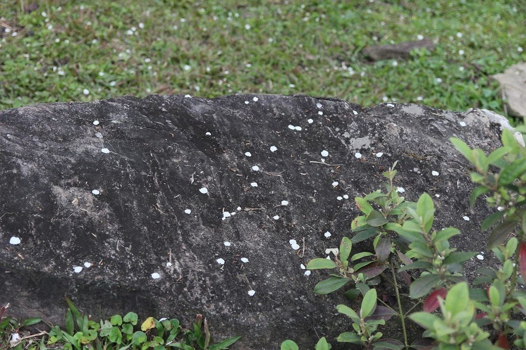 Bức hình từ chuyến đi năm ấy