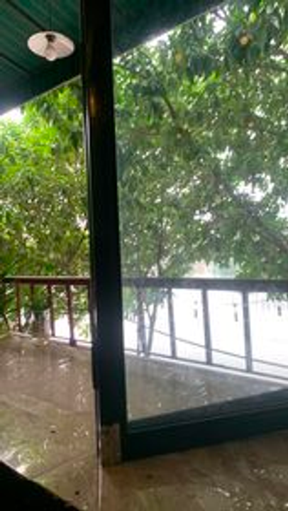 Ảnh tự nhiên mờ thật