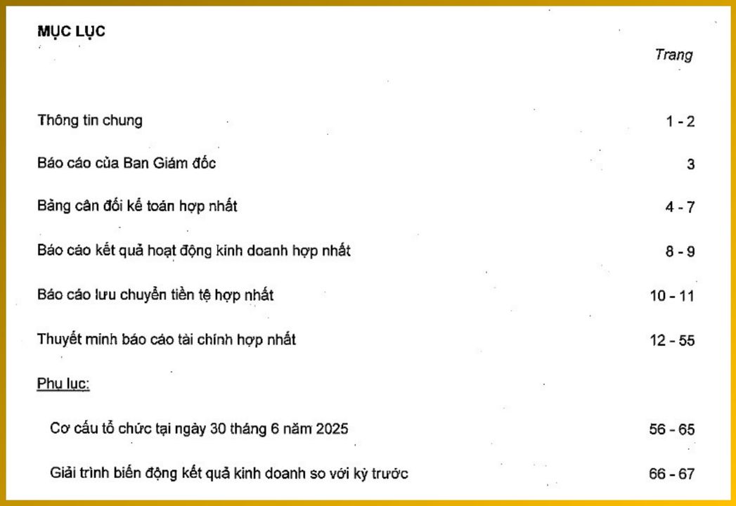 <i>Báo cáo tài chính hợp nhất soát xét Q2/25 của Vingroup</i>