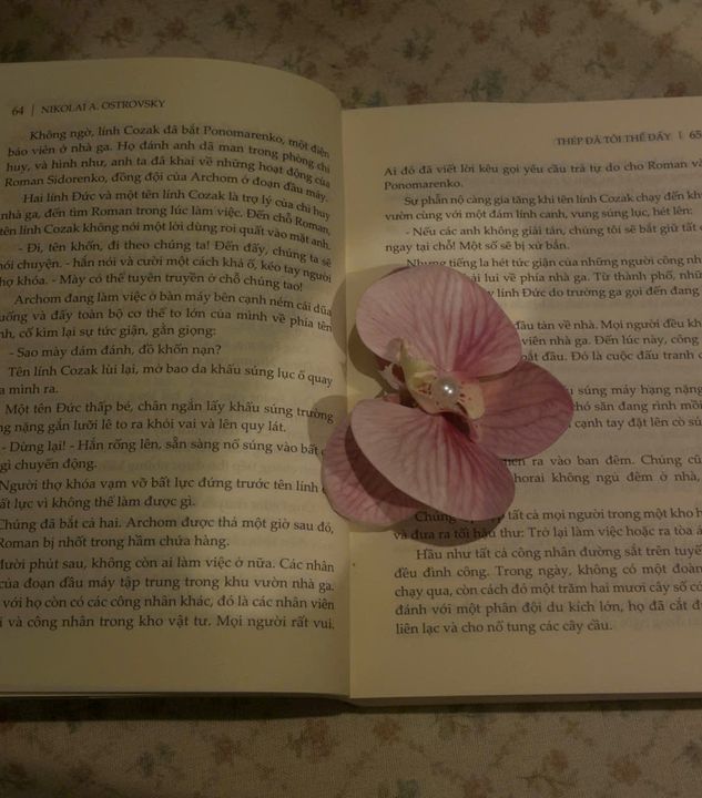 Chữ nghĩa là tài sản quý giá nhất nếu tìm được đúng người