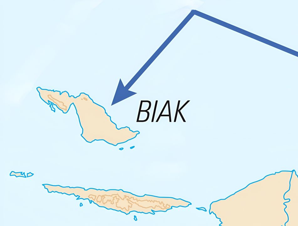 Vào ngày 27 tháng 5 năm 1944, Sư đoàn Bộ binh 41 Mỹ đổ bộ lên đảo Biak. Cuộc đổ bộ này mở ra các trận giao tranh với Trung đoàn Bộ binh 222 của Nhật Bản, kéo dài trong suốt các tháng 6 và 7. Các hoạt động truy quét, tiêu diệt tàn quân tiếp tục diễn ra cho đến khi chiến tranh kết thúc.