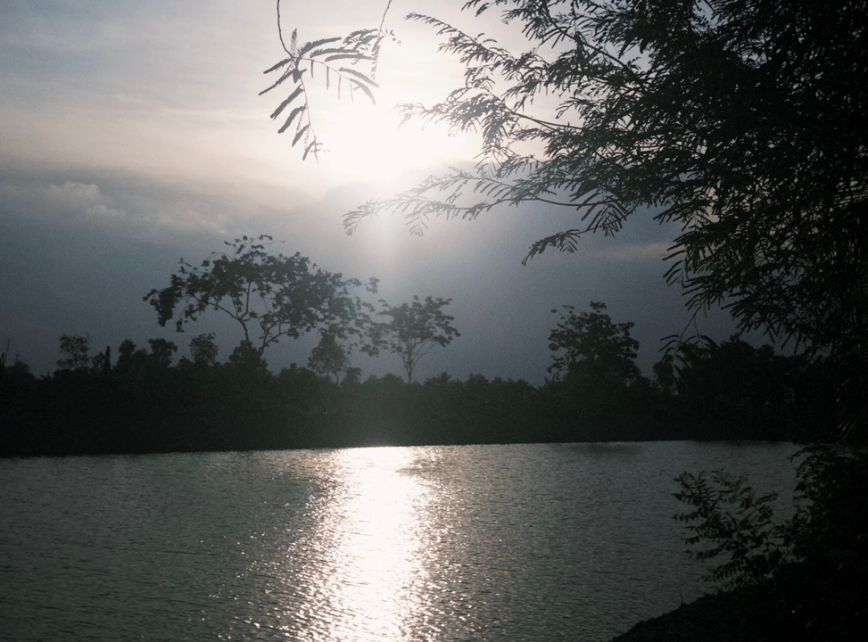 Một góc nhỏ sau nhà lúc chiều tà