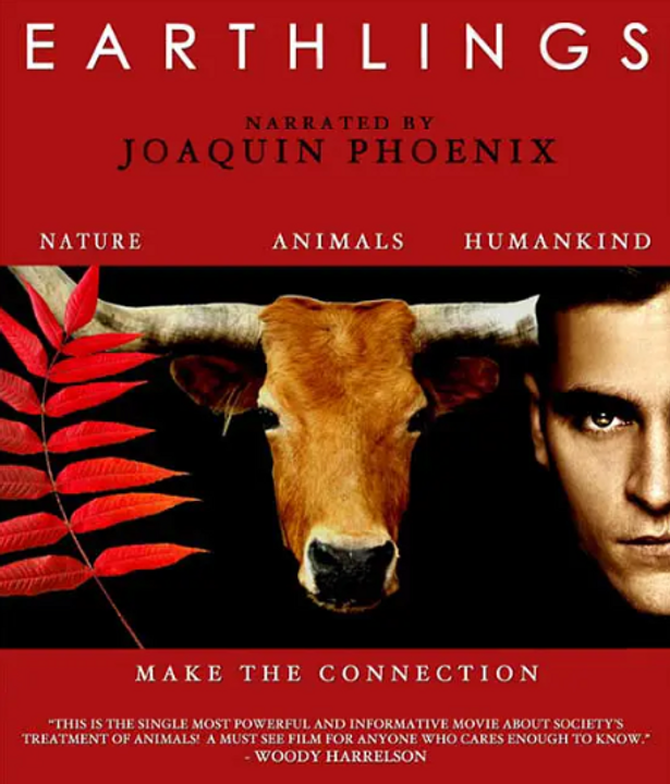 Vậy tôi có trở thành người ăn chay không?