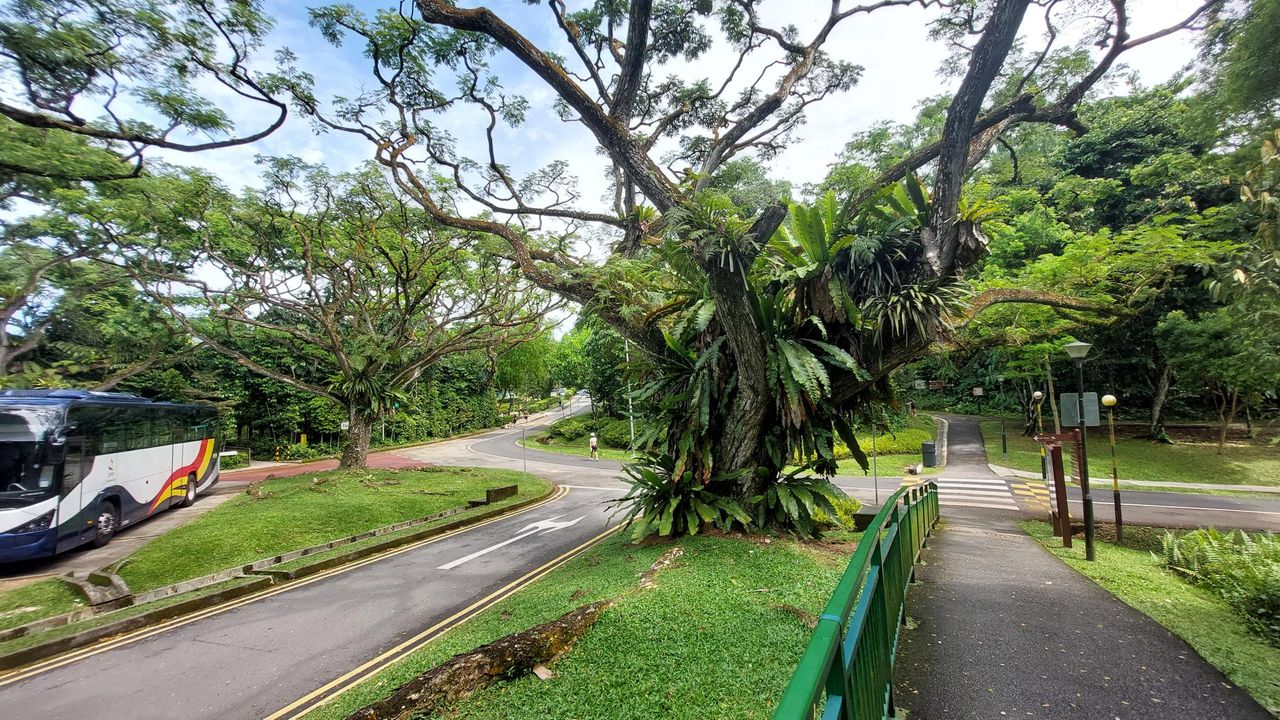 Ở đây mình còn thấy vẹt, ko biết vẹt nuôi hay tự nhiên nữa