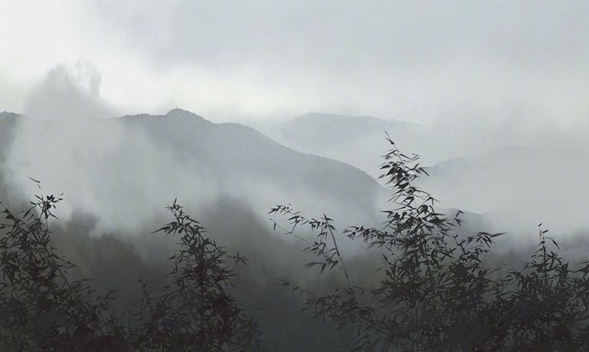 Nguồn ảnh: <a href="https://pin.it/4P50xlkg1">pinterest.com</a>