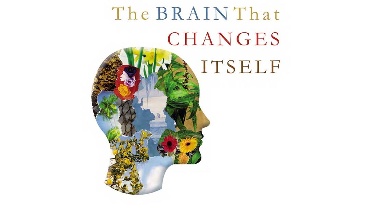 The Brain That Changes Itself