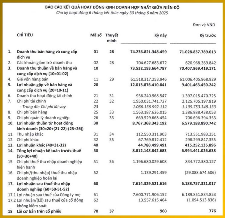 <i>Báo cáo Kết quả Hoạt động Kinh doanh</i>