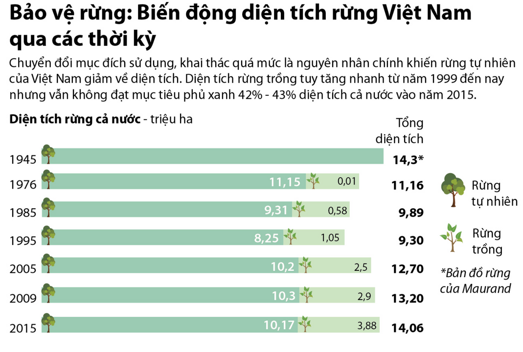 Dù tổng diện tích rừng nước ta tăng, tỉ lệ rừng tự nhiên vẫn đang có xu hướng giảm.                       <i>Nguồn ảnh: <a href="https://infographics.vn/bao-ve-rung-bien-dong-dien-tich-rung-viet-nam-qua-cac-thoi-ky/5092.vna">Tin đồ họa - Thông tấn xã Việt Nam</a></i>