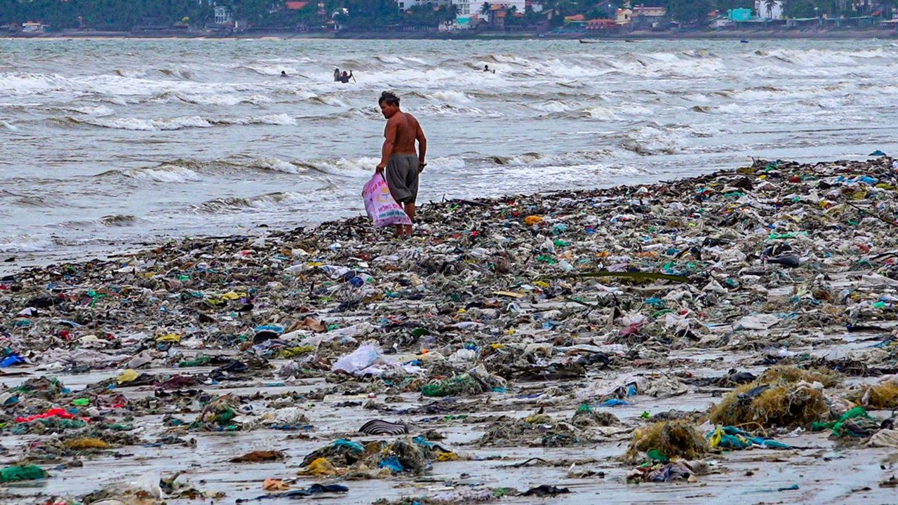 Sự hủy diệt sẽ ngày càng hiện hữu nếu con người tiếp tục tàn phá tự nhiên.