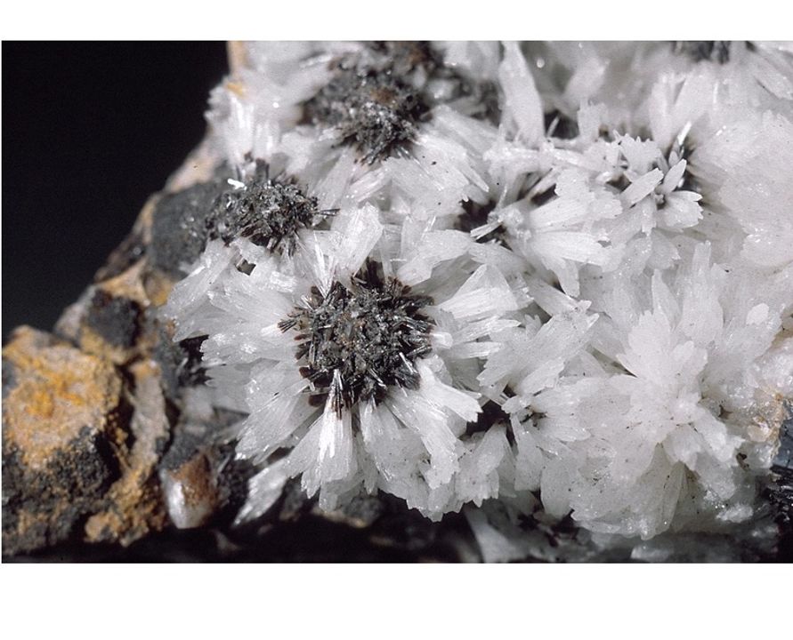 

Các tinh thể aragonit mỏng manh, không màu, cùng với canxit, galena và sphalerit, được tìm thấy tại mỏ New Glencrieff ở Wanlockhead, Dumfriesshire, Scotland. Mã số tham khảo của bảo tàng&nbsp;<a href="https://www.nms.ac.uk/search-our-collections/collection-search-results?entry=252866">: G.1951.8.13</a>&nbsp;.

