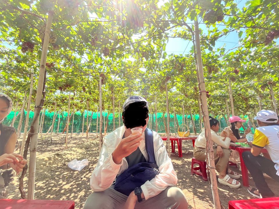 Đang ngồi nhâm nhi "cốc" rượu nho