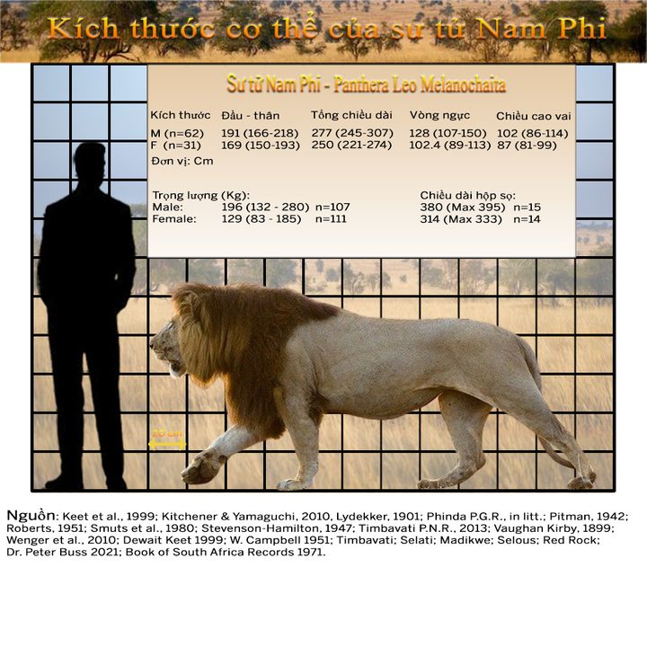 Nguồn : Nguyễn Trọng