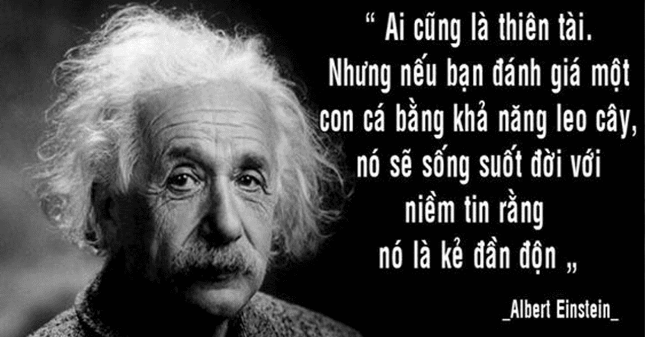 Một câu nói mà khá hay của Albert Einstein