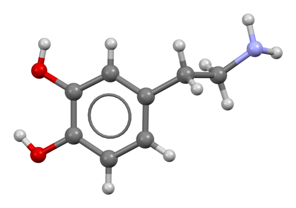 Cấu trúc phân tử của dopamine. Ảnh: <a href="https://en.wikipedia.org/wiki/Dopamine#/media/File:Dopamine-based-on-xtal-3D-bs-17.png">Benjah-bmm27/Wikipedia</a>, Cruickshank et al., 2013
