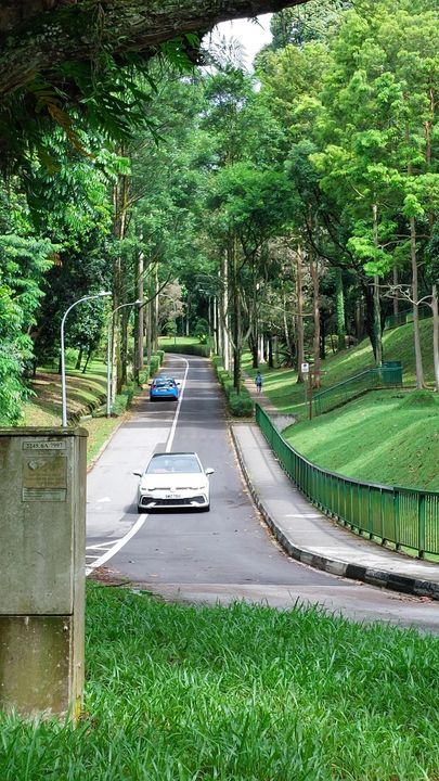 và cây xanh phủ khắp lối