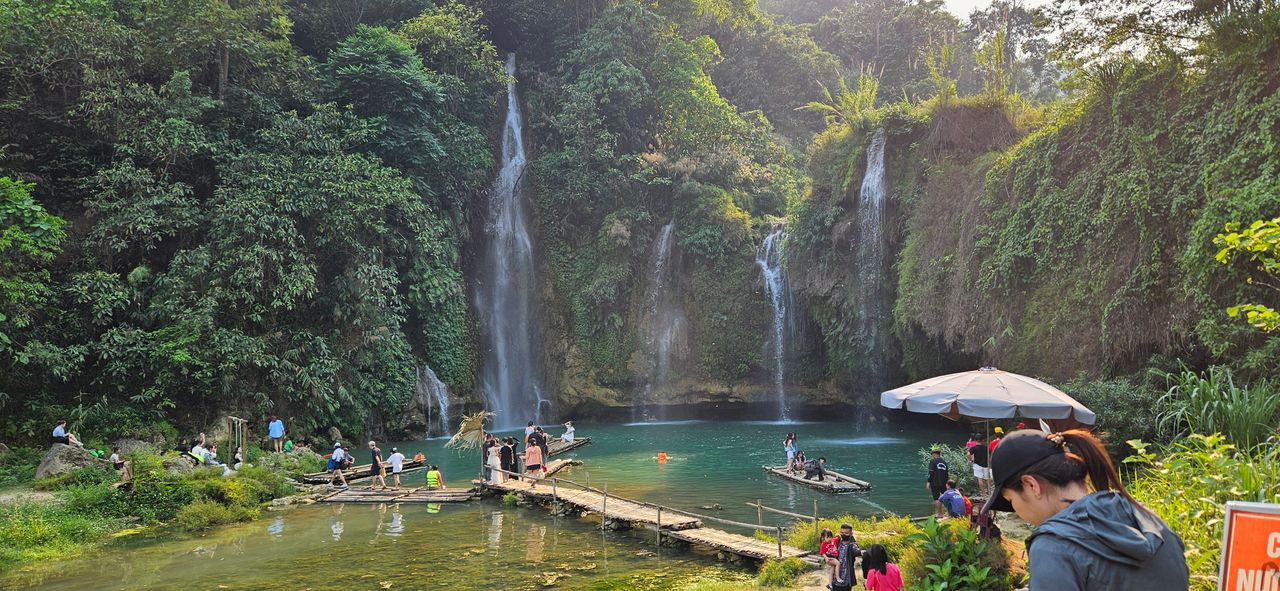 <i>Một màu xanh nước cùng cây cỏ</i>