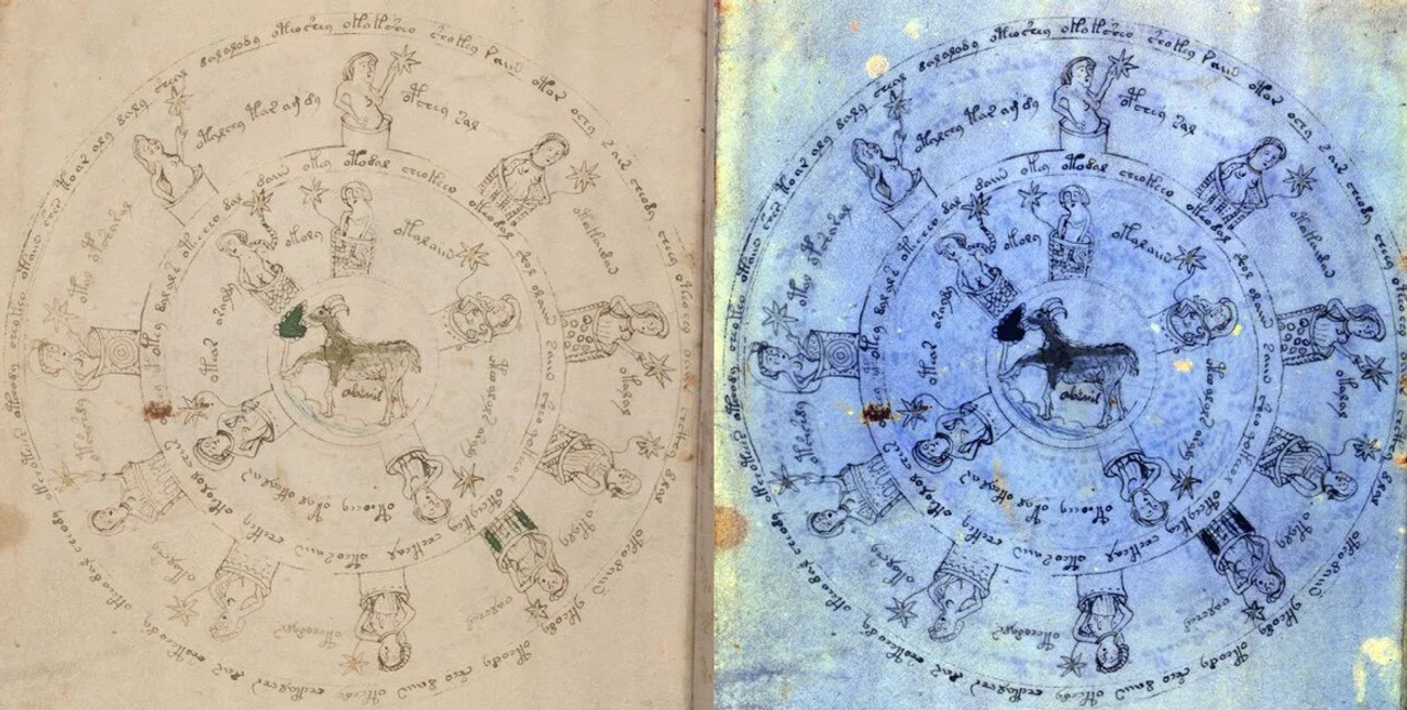 Nhà nghiên cứu Trung Cổ Lisa Fagin Davis đã phân tích các hình ảnh đa phổ của 10 trang từ bản thảo Voynich. Nguồn ảnh: Lisa Fagin Davis.