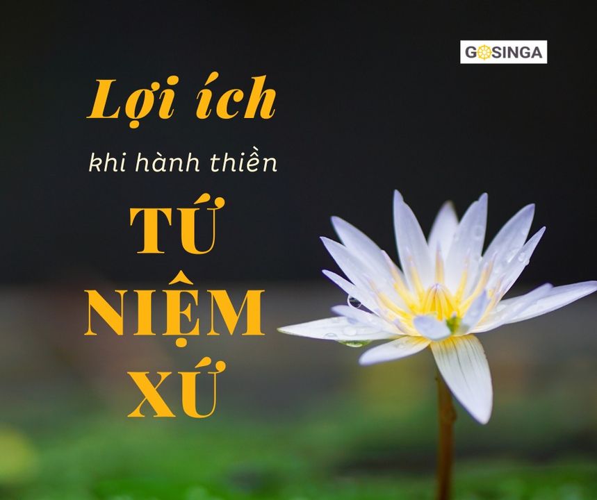 Thiền có tác dụng gì?