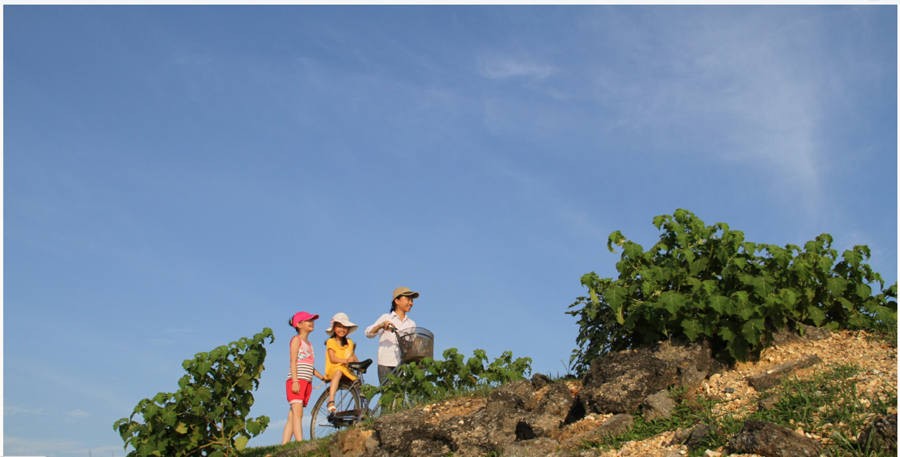 <i>Một bức ảnh khiến mình cảm thấy yên bình thật sự</i>