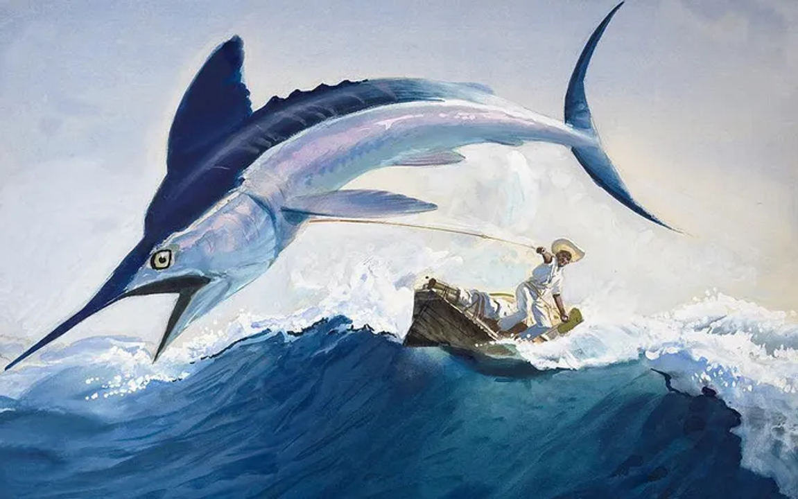 Đối thủ xứng tầm thì mới gặp nhau. Nguồn: cdn-images.vtv.vn