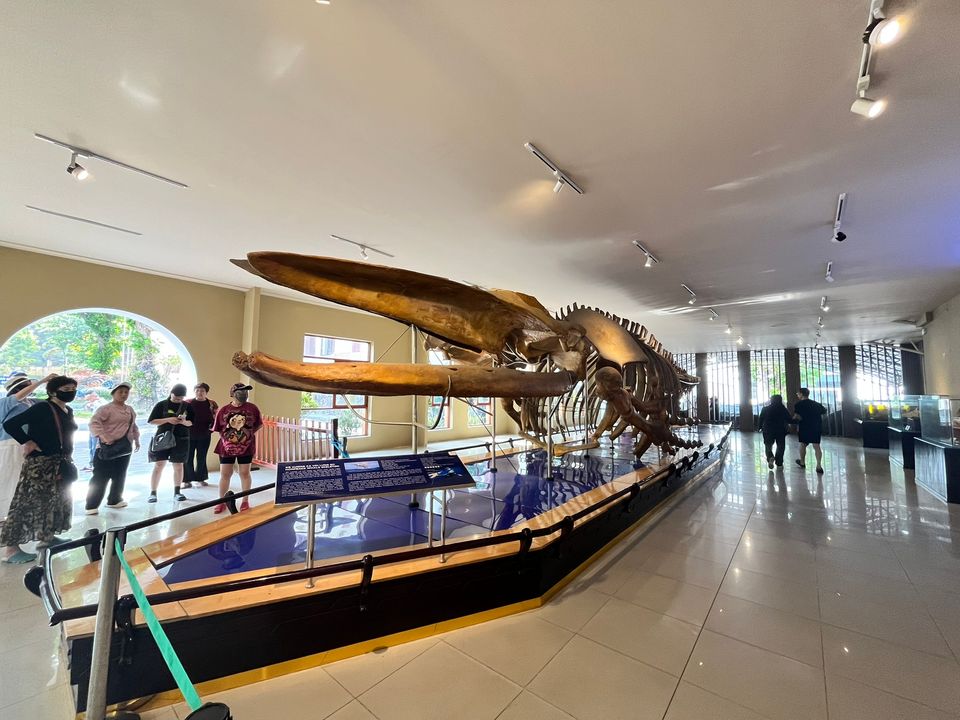 Nhìn rất fake nhưng hóa ra là real