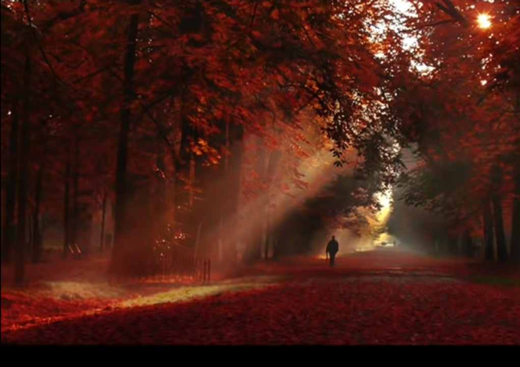 ♫ The Day We'll Meet Again - Youtube - jybh012 - when all the warmth leaves us