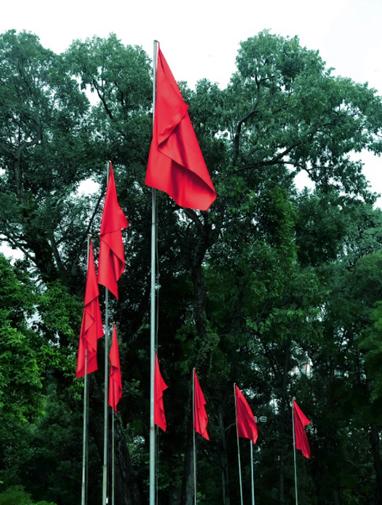 <i>The photo was taken through the lens of a group member.</i>