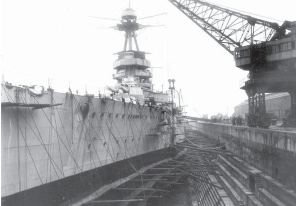 Tiger là chiếc cuối cùng trong loạt thiết giáp tuần dương hạm của Anh được trang bị pháo 13,5 inch, và cũng là chiếc được bảo vệ tốt nhất: tàu mang theo 6.598 tấn giáp, chiếm 25,9% trọng lượng rẽ nước tiêu chuẩn. Tuy vậy, so với lớp Derfflinger của Đức – được đóng trong cùng thời kỳ – thì Tiger vẫn bị đánh giá là thiếu bảo vệ. ( Lưu trữ Quốc gia Canada)