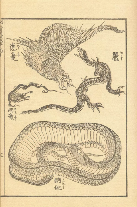 <i>Tranh minh họa bốn loài rồng "con" gồm: Ứng Long (trên cùng); Vũ Long (bên phải); Đà (nguyên thủy là cá sấu Dương Tử) (bên trái); Giác Xà (rắn có sừng) (dưới cùng) trong Hokusei Manga (1814-1878)</i>