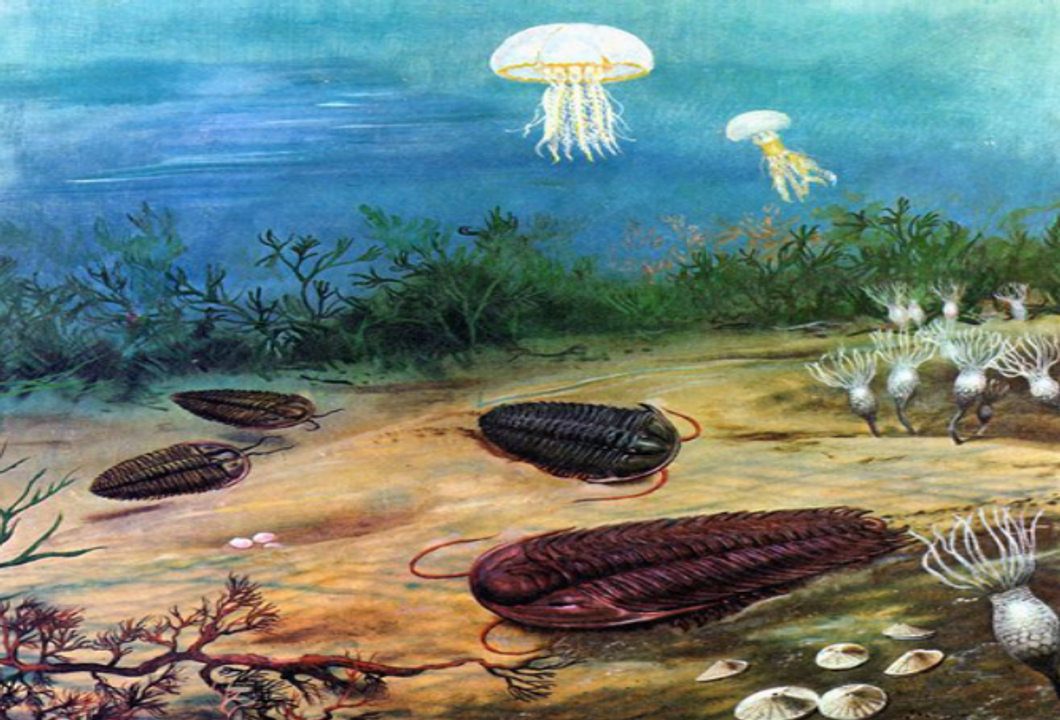 <i>Life in the Cambrian period by Zdenek Burian</i>
