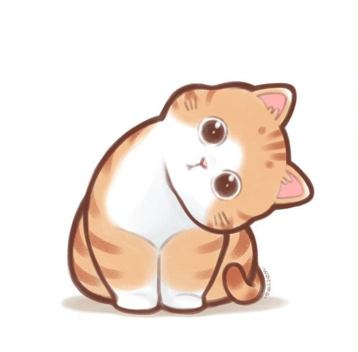 Mình từng thắc mắc