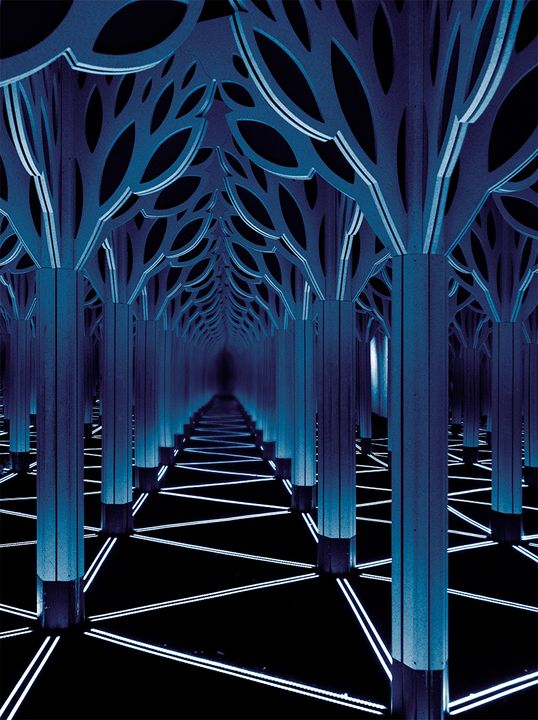 Hình 3: Mê cung Gương tại Bảo tàng Khoa học và Công nghiệp, Chicago / Image: Jules Verne Times Two