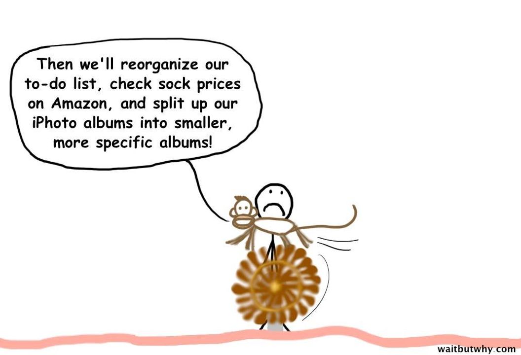 "Chưa hết, mình còn ngồi sắp xếp lại to-do-list, xem giá tất trên Amazon, sau còn phải sắp hình trên con Iphone thành mấy album cụ thể hơn nữa."-Khỉ tiếp lời.Mặt thằng người mếu máo.