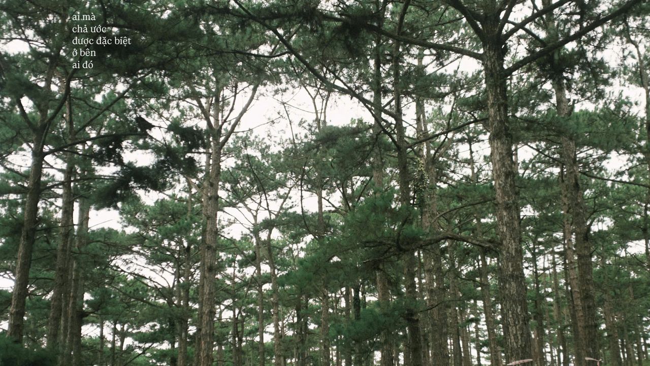 ai mà chả ước được đặc biệt ở bên ai đó