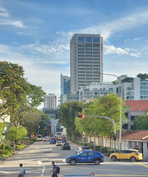 Nắng vàng phủ lên một con đường