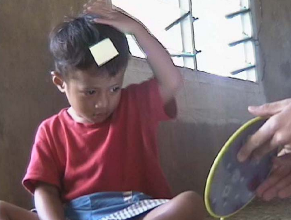 Ảnh: cậu nhóc chỉ tay và rờ vào tờ giấy dán (sticker) nhờ soi ảnh mình qua gương [1]