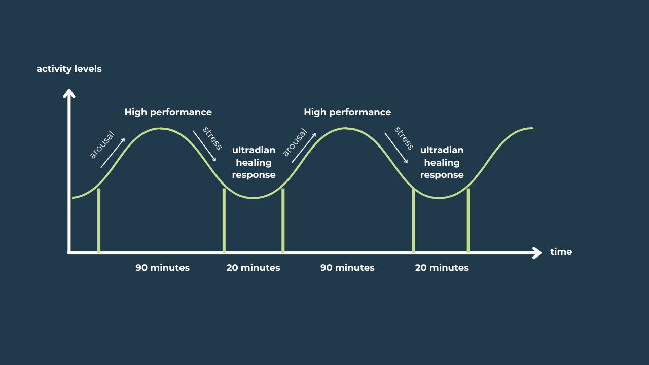 Nguồn: <a href="https://www.xpandhealth.com/blog/Ultradian-Rhythms-and-promodoro-technique">xpandhealth</a>