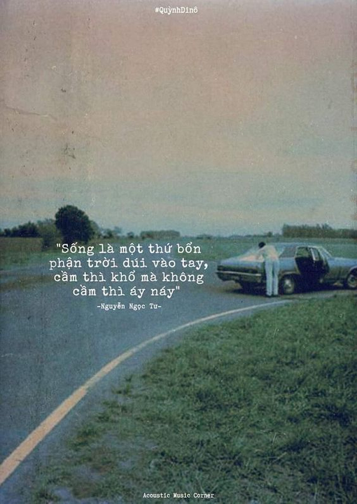 Người ta bảo " Chết thì dễ! Sống mới khó"