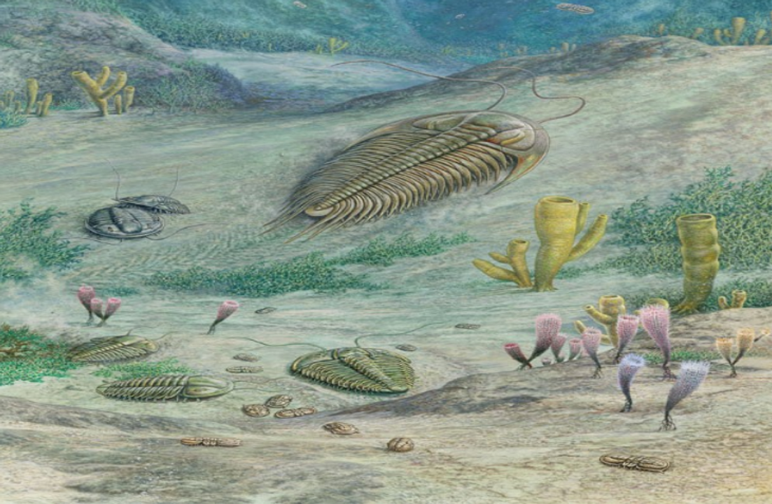 <i>Image credit: John Sibbick</i>