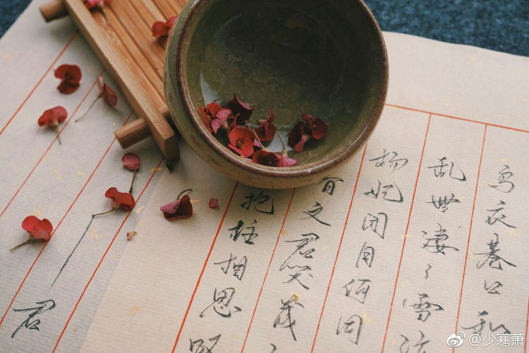 Nguồn ảnh: <a href="https://pin.it/1sRF5gyOZ">pinterest.com</a>