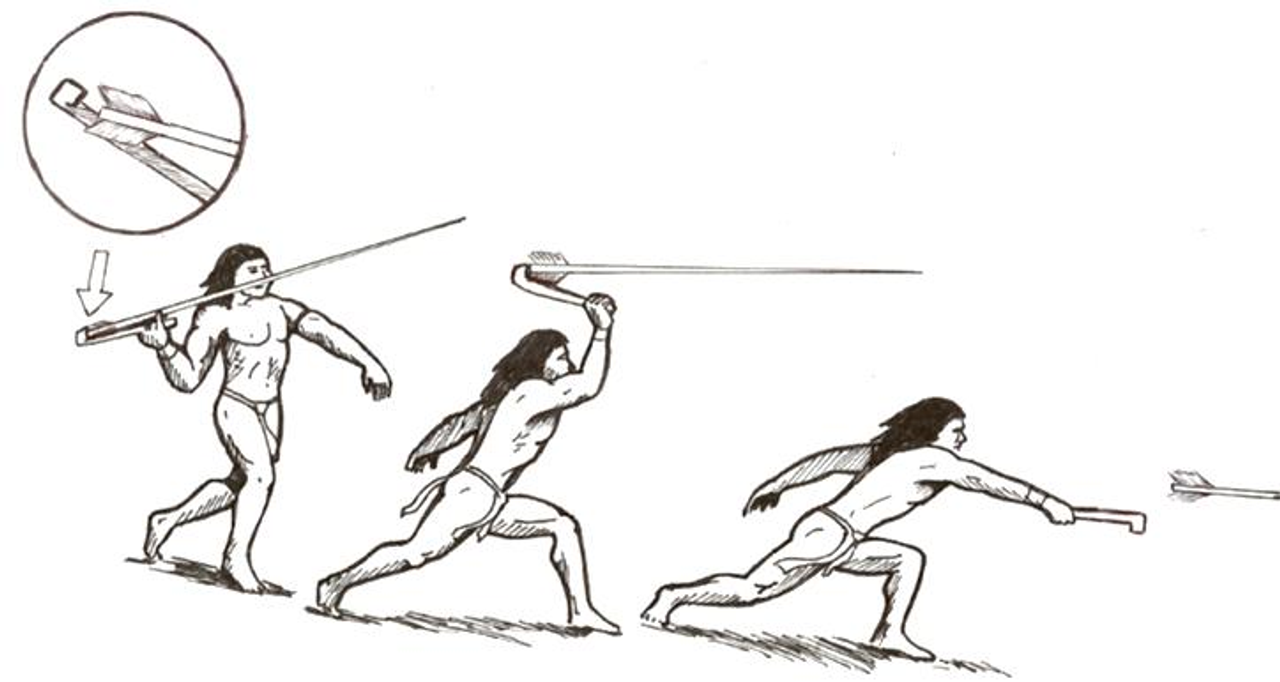Một người da đỏ dùng một chiếc phóng lao. <a href="https://en.wikipedia.org/wiki/Spear-thrower#/media/File:Nativo_do_Novo_Mundo_lan%C3%A7ando_flecha_com_o_propulsor_ou_est%C3%B3lica.jpg">Nguồn</a>.