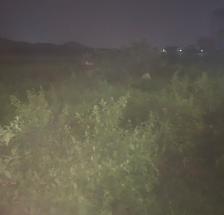 Khu mộ dưới cánh đồng cạnh cao tốc Bắc Giang - Hà Nội.