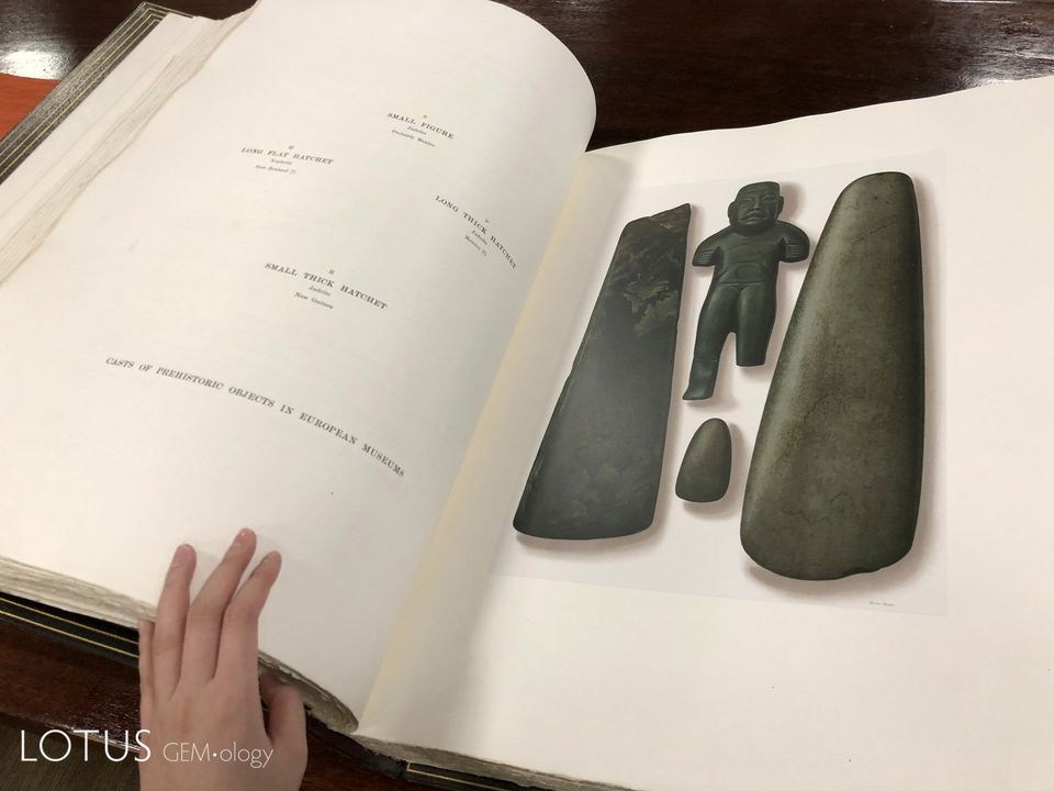 Hai trong số những hình ảnh sống động như thật tuyệt vời từ bộ sưu tập The Bishop Collection trong thư viện của Bảo tàng Field ở Chicago. Ảnh: E. Billie Hughes.