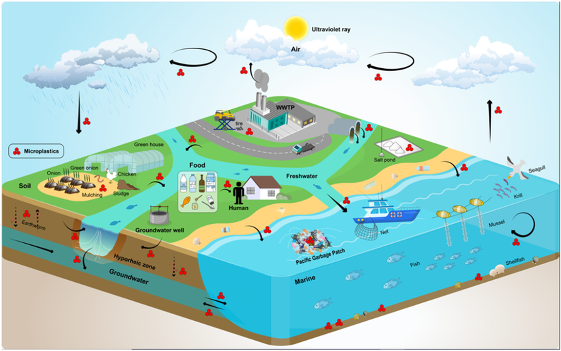 Vòng đời vi nhựa. Nguồn: Science Progress