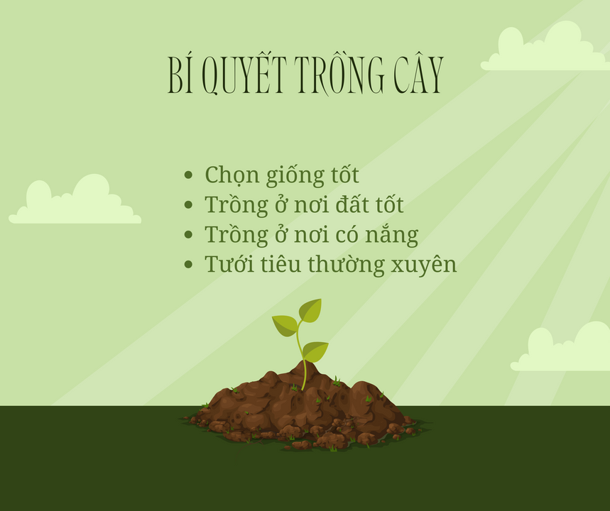 Bí quyết đầu tư chứng khoán cũng giống bí quyết trồng cây