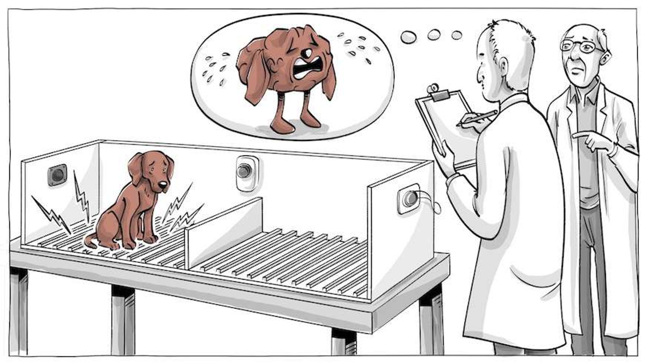 Bọn nó nằm bẹp xuống sàn. Rên rỉ. Và chịu trận.