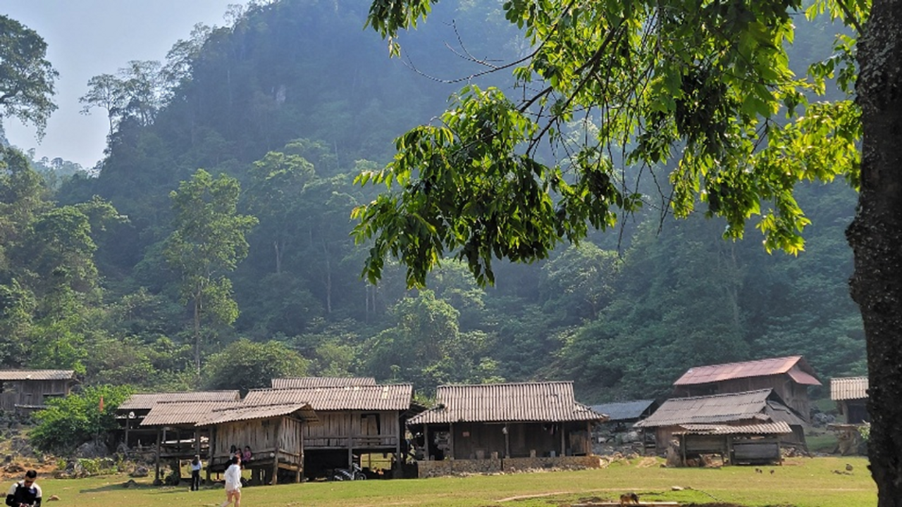 <i>Mấy mái lá trĩu mình gánh nắng</i>